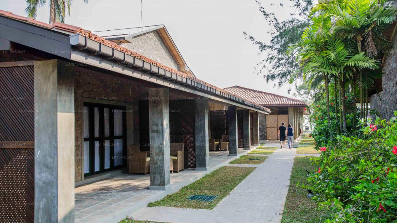 Arie-Lagune, Negombo