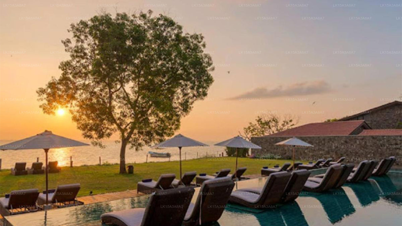 Arie-Lagune, Negombo
