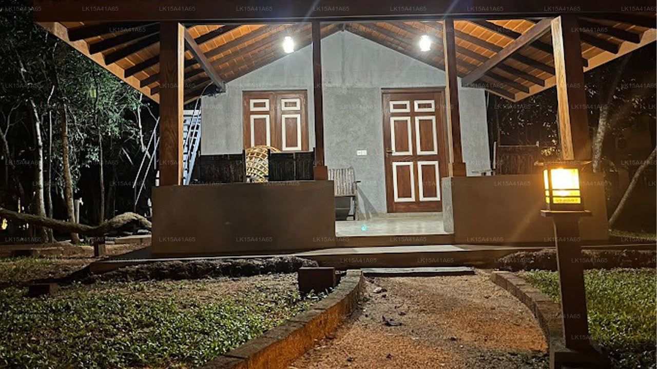 Baumpfade, Sigiriya