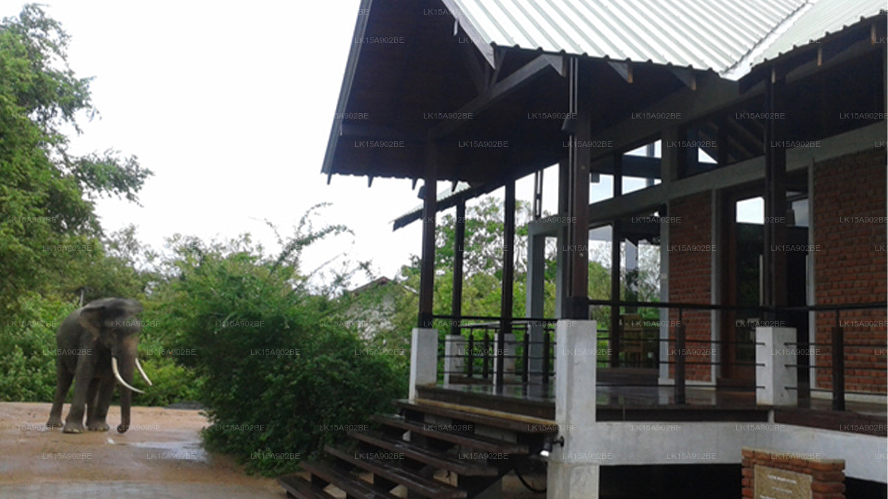 Lagunen-Cabanas Panama, Arugam Bay