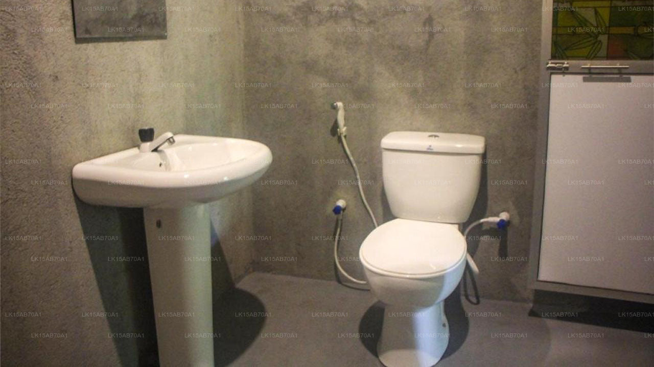 Jungle Host Hostel und Baumhaus, Sigiriya