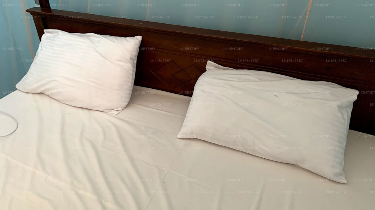 Neues Rani Inn, Negombo