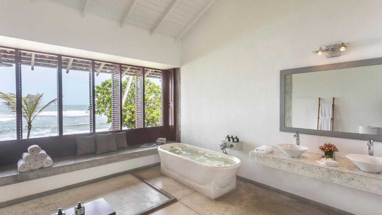 Der Frangipani-Baum von Edwards Collection