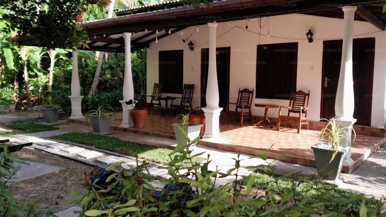 Bananenblattgarten, Weligama