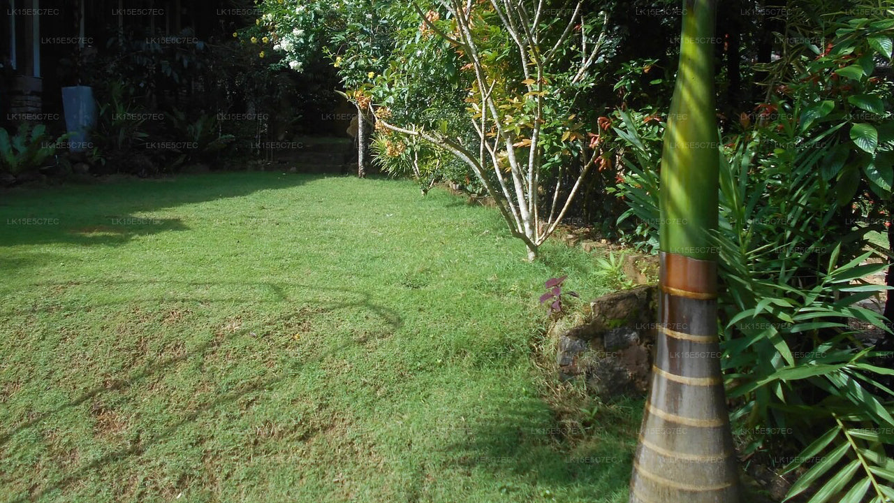 Sapphire Ferienresort, Ratnapura