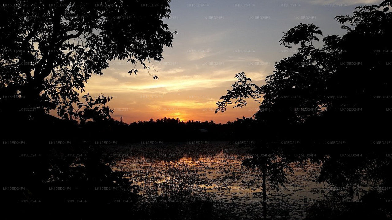 Blick auf den Heritage Lake, Anuradhapura