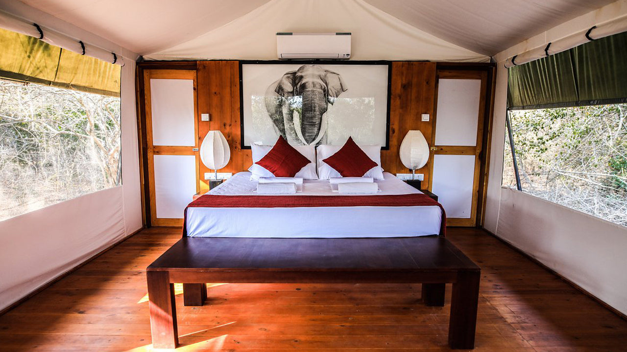 Topan Yala – Luxus-Zeltsafari