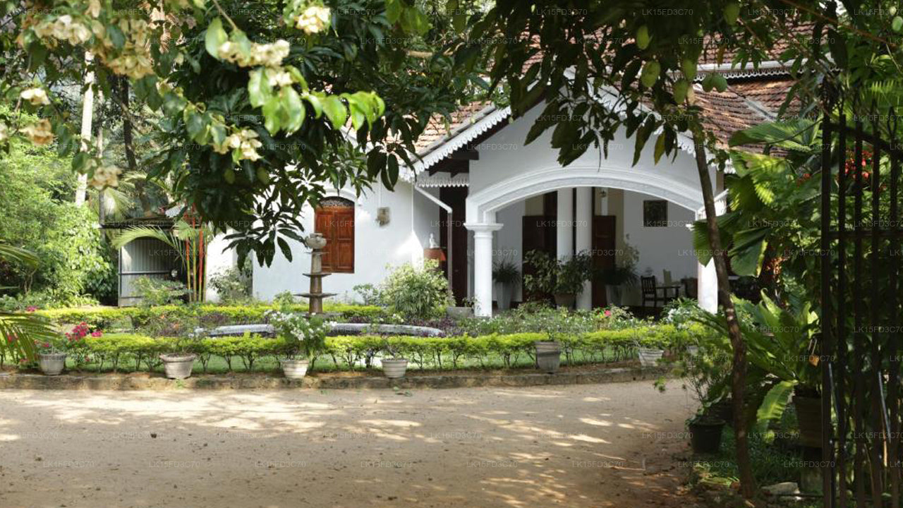 Kithulvilla Ferienbungalow