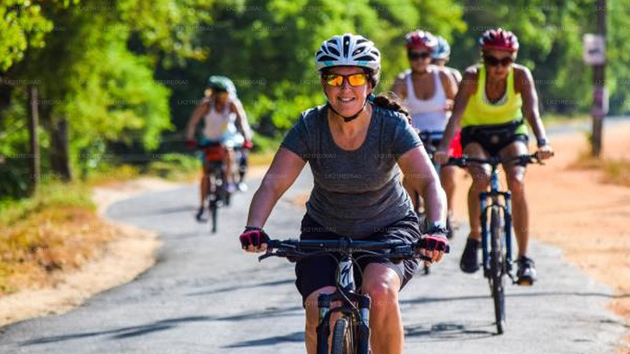 Fahrradverleih ab Galle