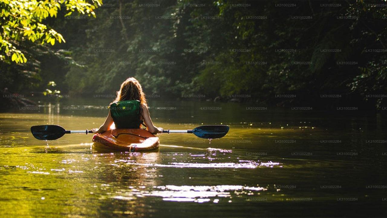 Kajakfahren auf flachem Wasser ab Kitulgala
