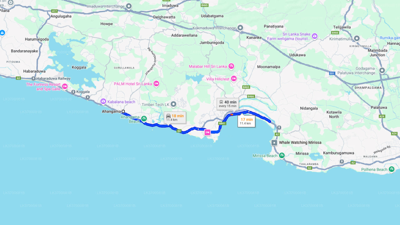 Walbeobachtung ab Ahangama mit einem Gemeinschaftsboot