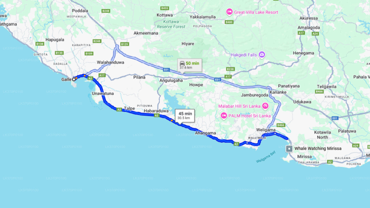 Walbeobachtung ab Hiriketiya mit einem Gemeinschaftsboot