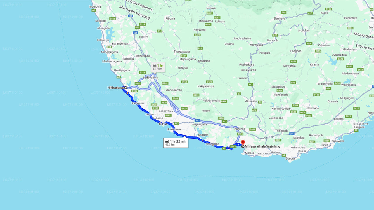 Walbeobachtung ab Hikkaduwa auf einem Gemeinschaftsboot