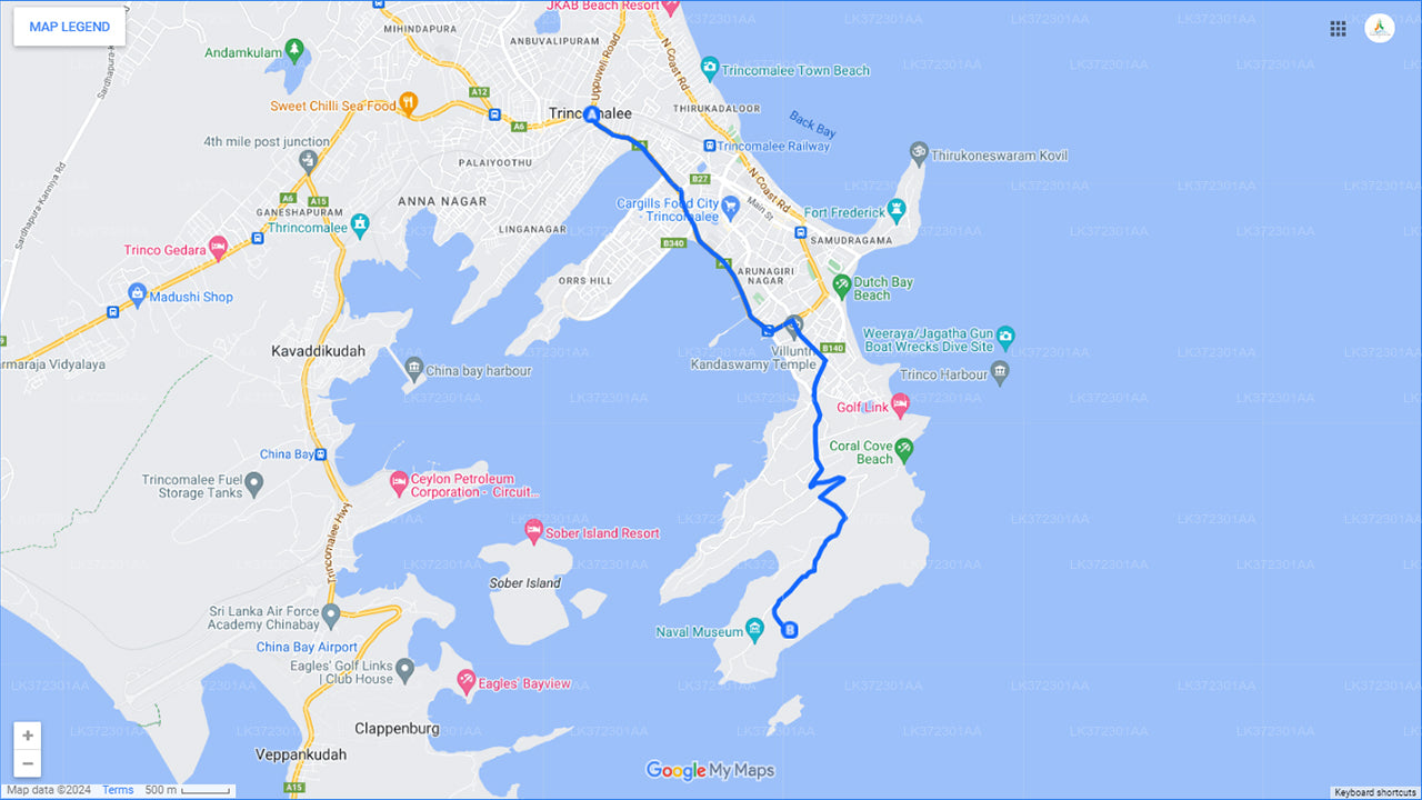 Walbeobachtung von Trincomalee auf einem privaten Boot