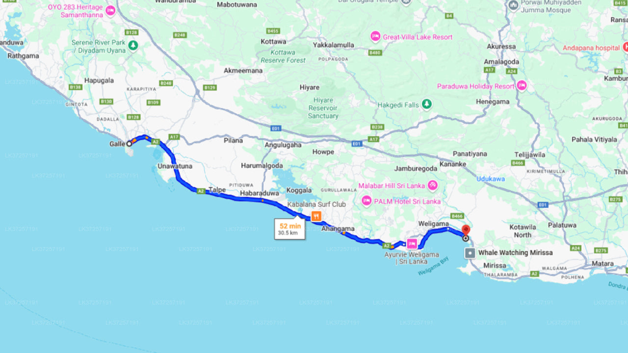 Walbeobachtung von Galle auf einem gemeinsamen Boot