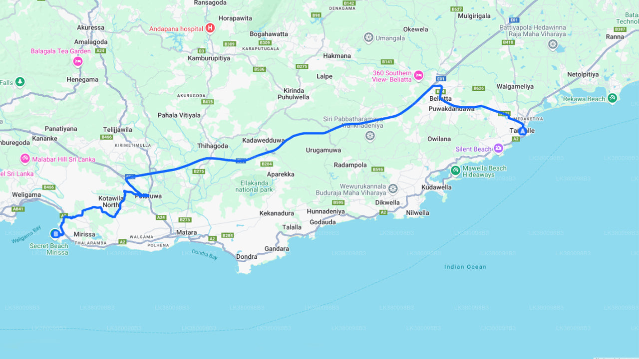 Delfinbeobachtungs-Bootstour ab Tangalle