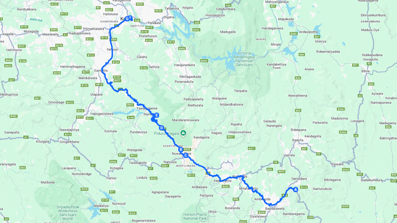 Private Transfer to Kandy from Ella with Scenic Stops