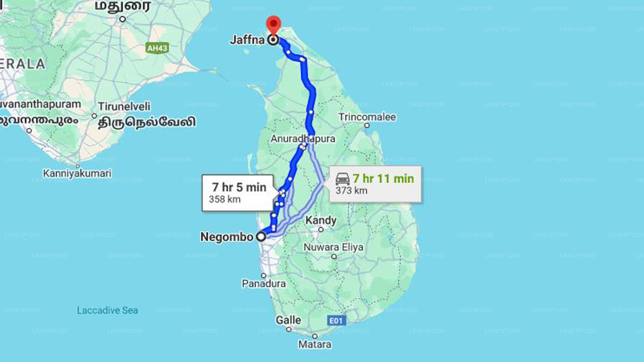 Privater Transfer von Negombo nach Jaffna