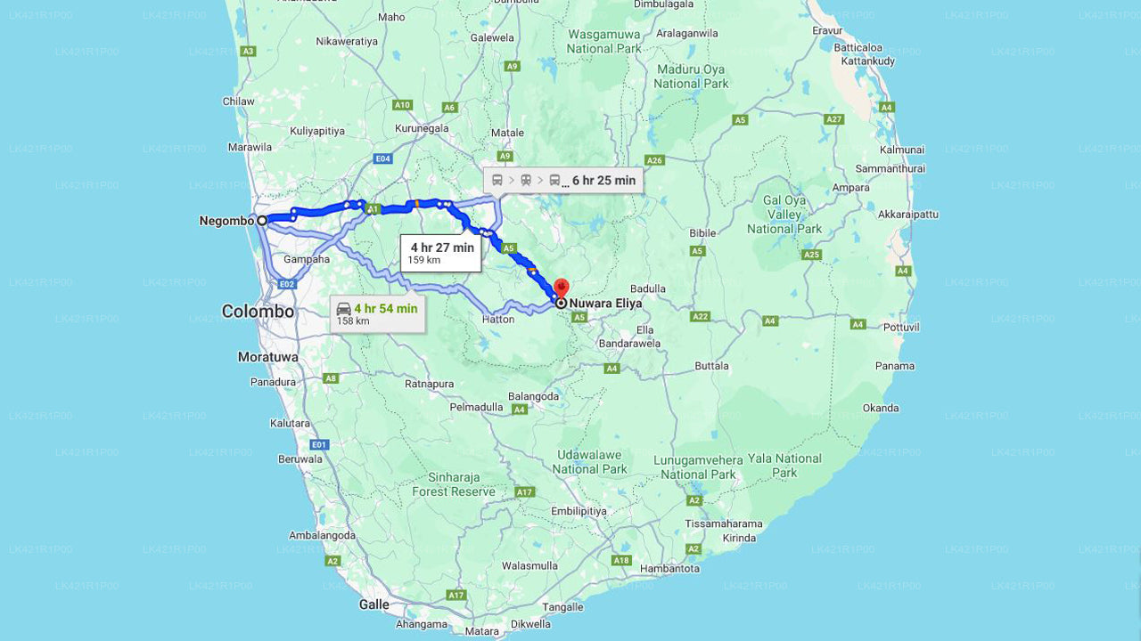 Privater Transfer von Negombo City nach Nuwara Eliya City