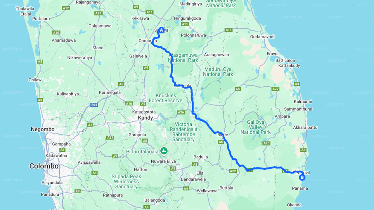 Privater Transfer von Sigiriya City nach Arugam Bay City