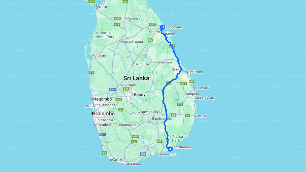Privater Transfer von Yala City nach Trincomalee City