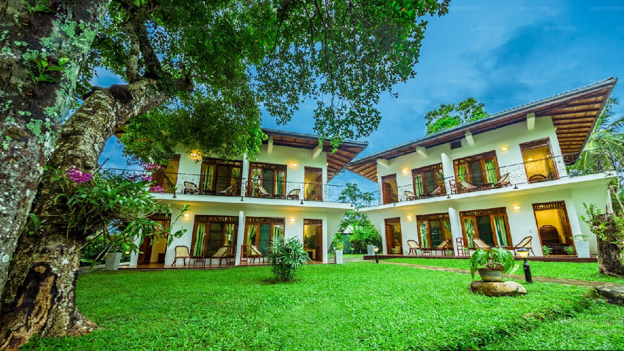 Korallengärten, Hikkaduwa