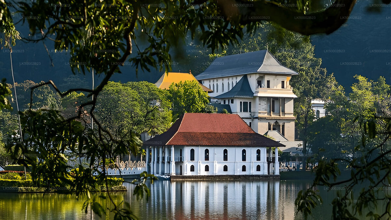Private Tour von Polonnaruwa nach Kandy mit Wasgamuwa-Safari
