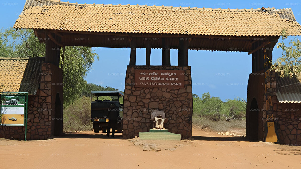 Private Tour von Ella nach Unawatuna mit Yala-Safari