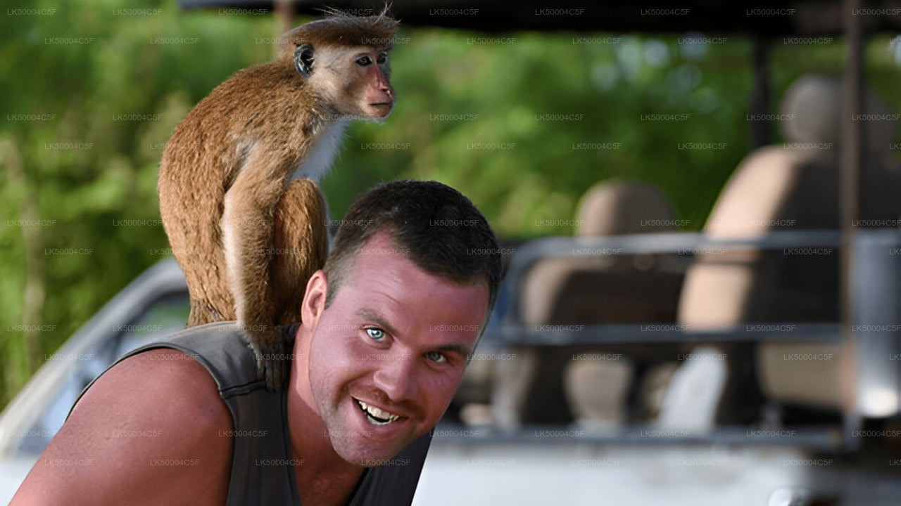 Private Tour von Ella nach Weligama mit Udawalawe-Safari