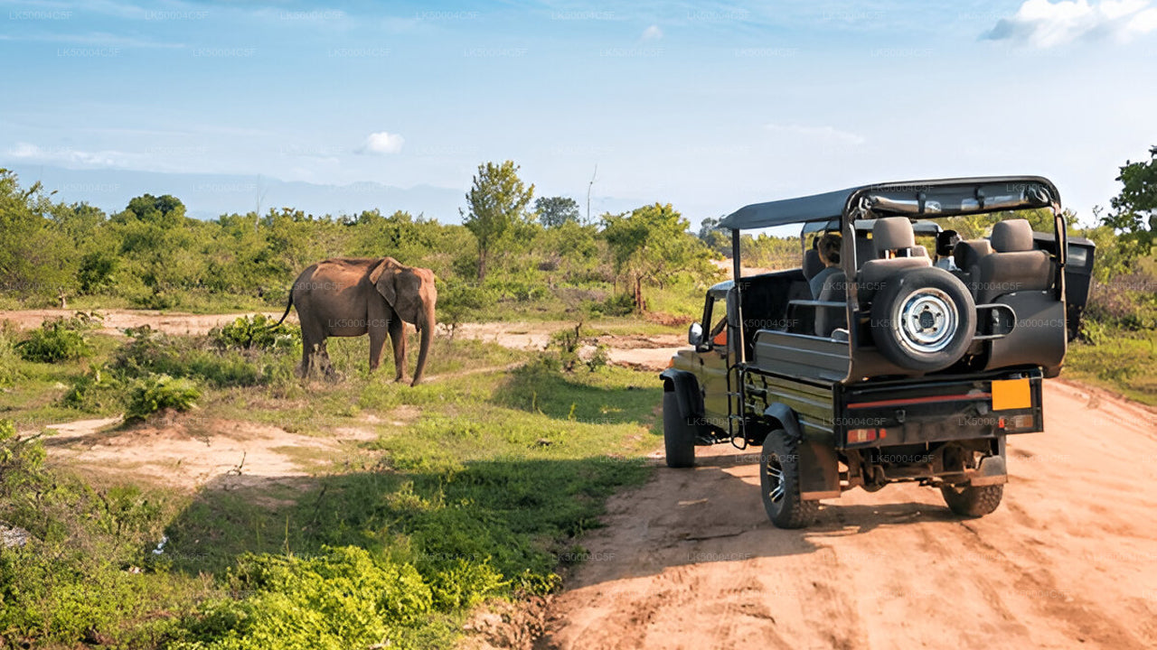 Private Tour von Ella nach Weligama mit Udawalawe-Safari