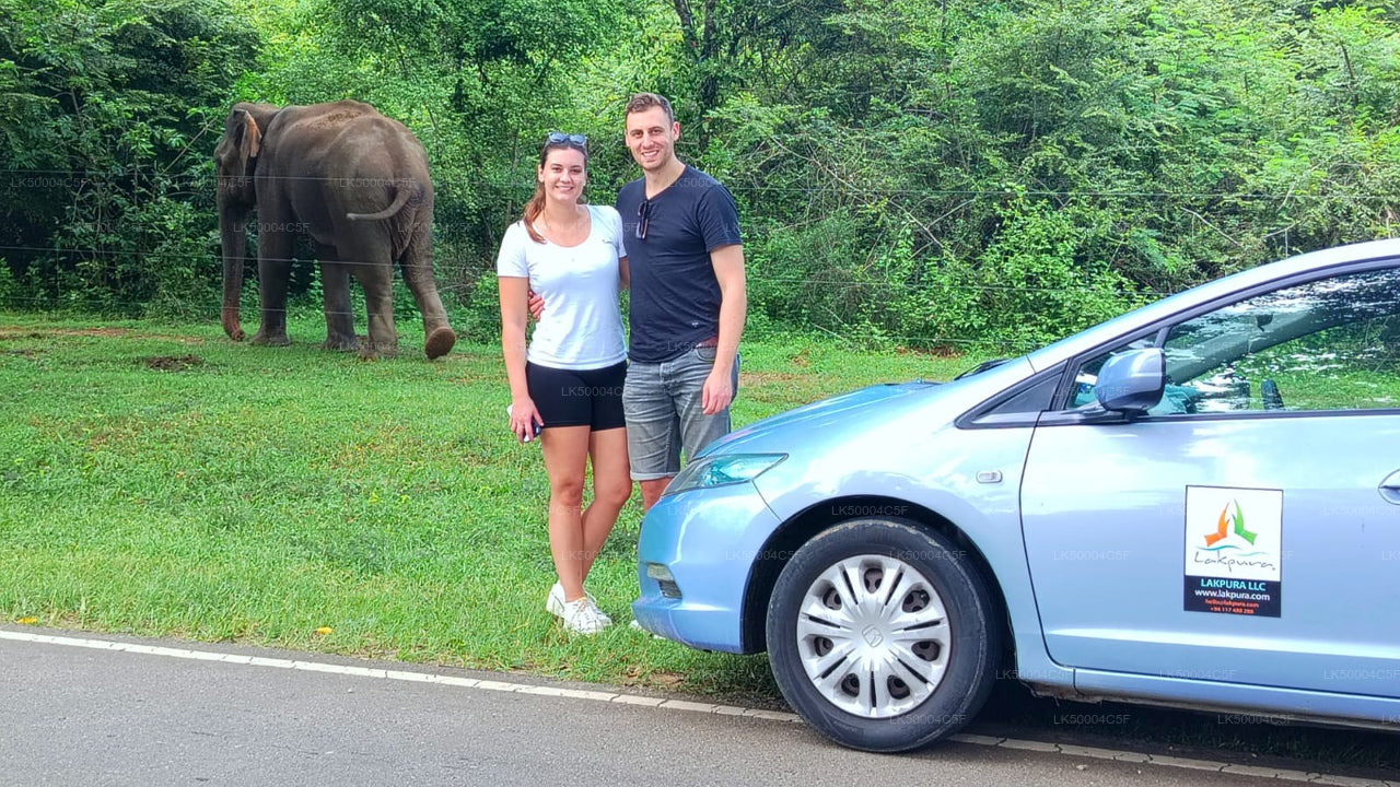 Private Tour von Ella nach Weligama mit Udawalawe-Safari