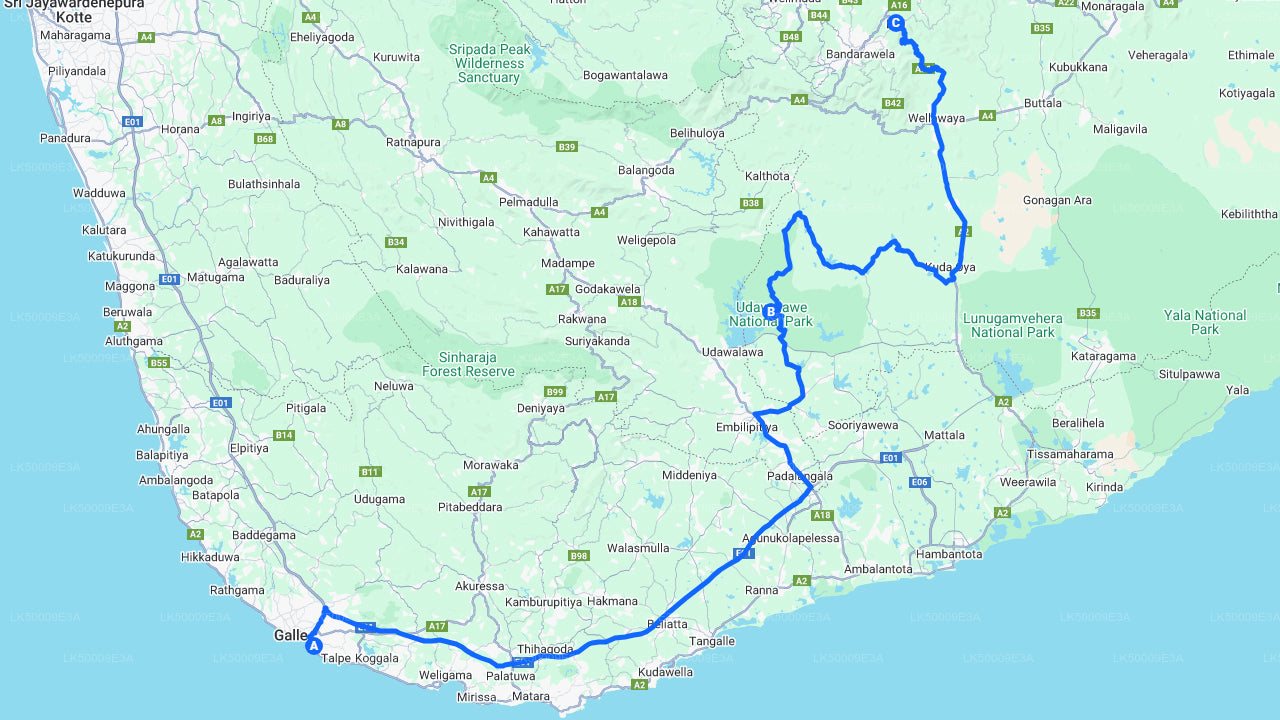 Private Tour von Unawatuna nach Ella mit Udawalawe Safari