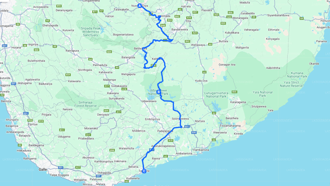 Private Tour von Nuwara Eliya nach Tangalle mit Udawalawe Safari