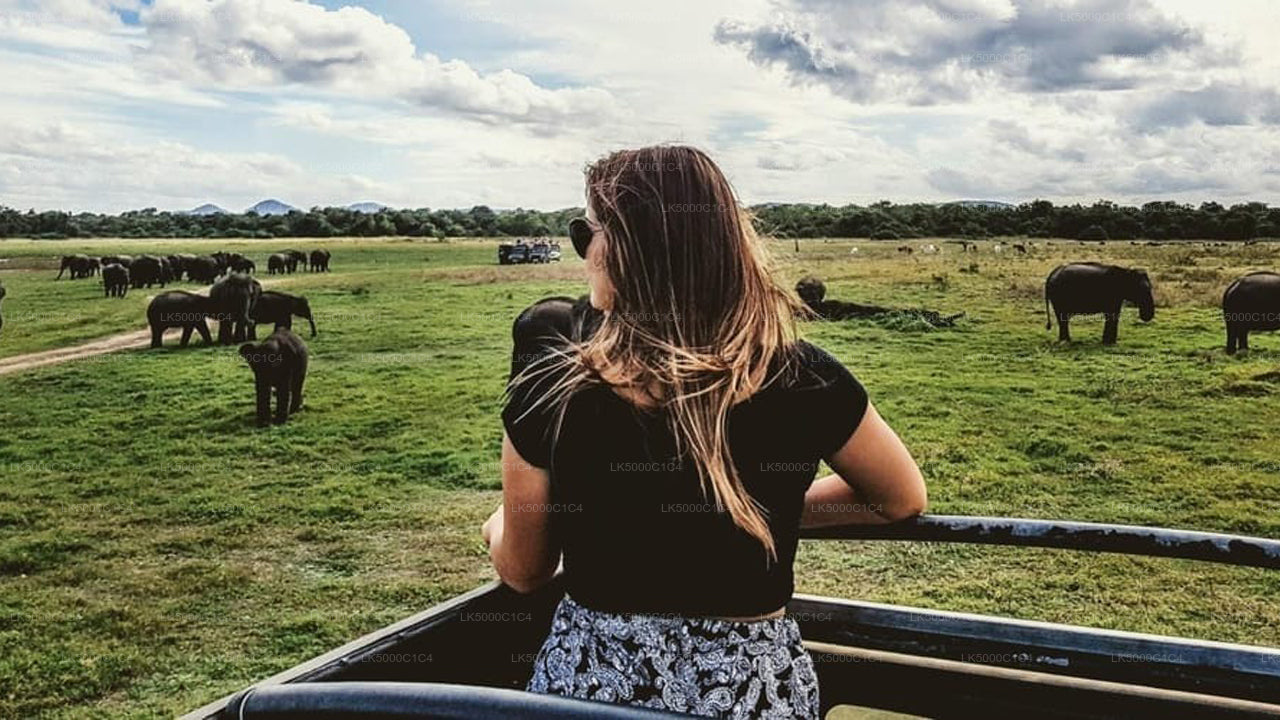 Private Tour von Ella nach Hiriketiya mit Udawalawe-Safari