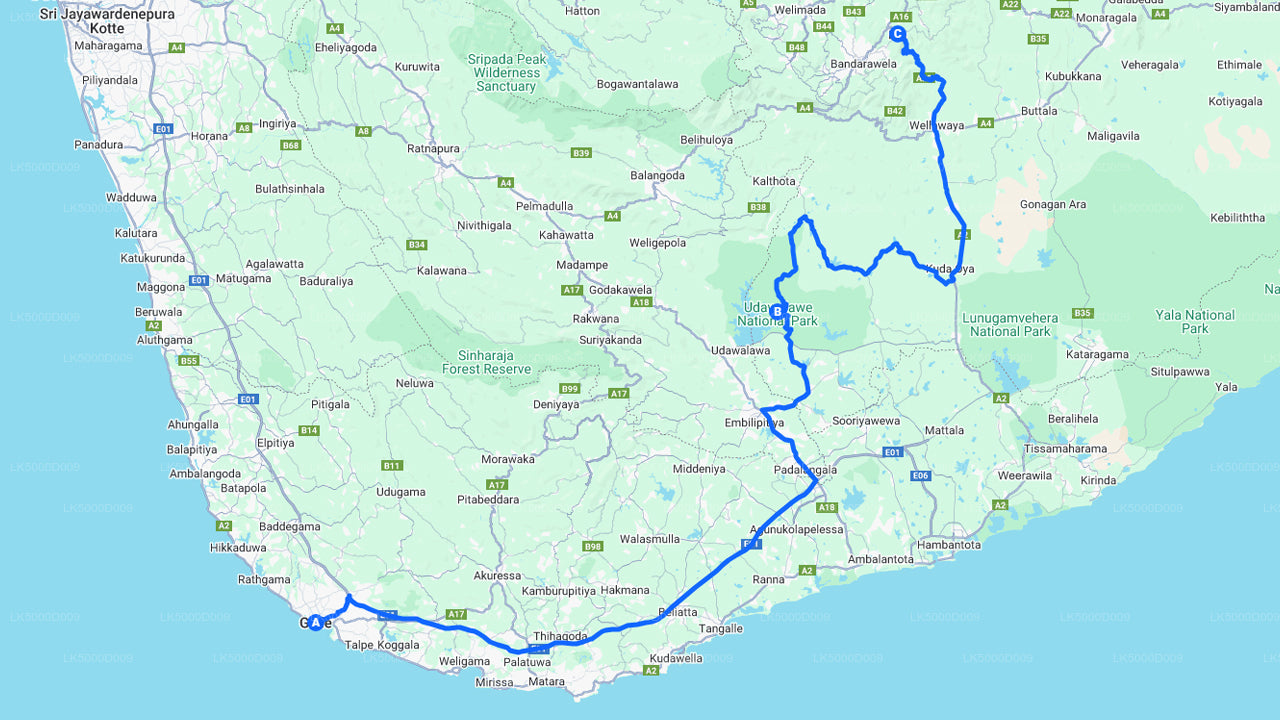 Private Tour von Galle nach Ella mit Udawalawe Safari