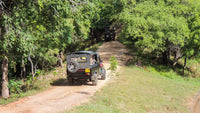 Gemeinsame Safari im Kaudulla-Nationalpark