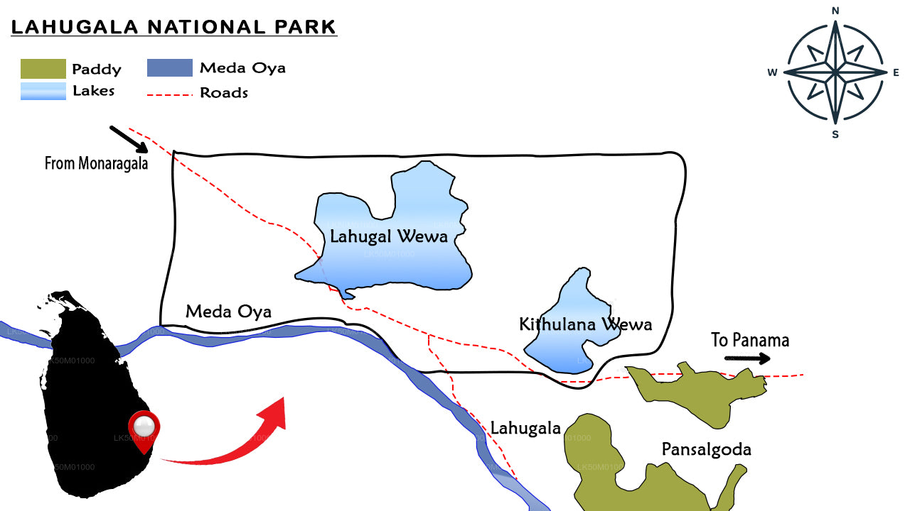 Private Safari im Lahugala-Kitulana-Nationalpark