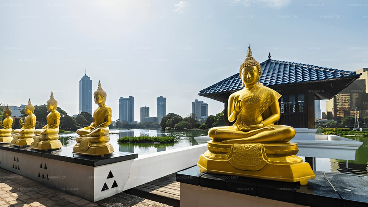 Colombo-Stadtrundfahrt ab Kosgoda