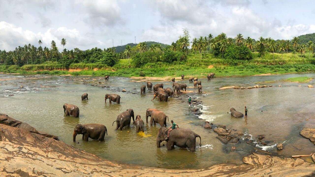 Kandy-Stadtrundfahrt ab Kitulgala