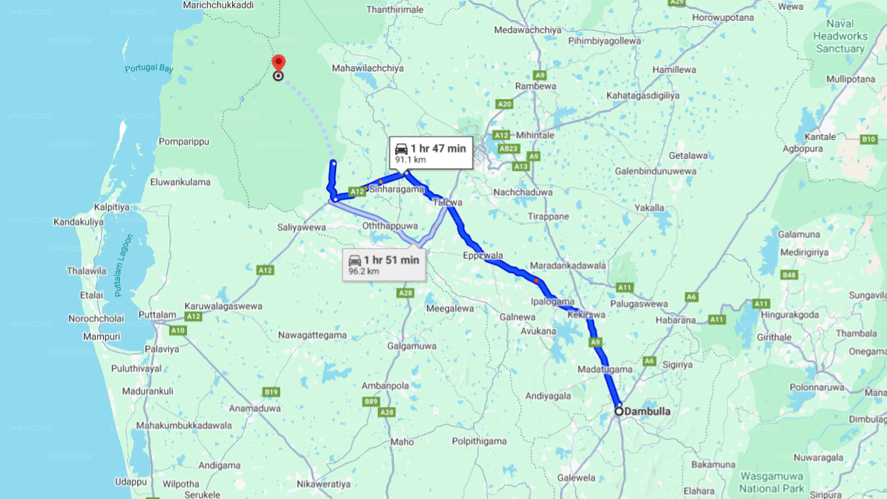 Wilpattu-Nationalpark-Safari ab Dambulla