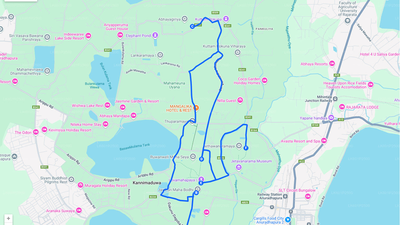 Heilige Stadt Anuradhapura aus Negombo