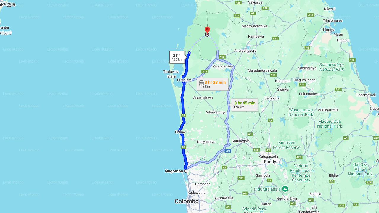 Wilpattu-Nationalpark-Safari ab Negombo