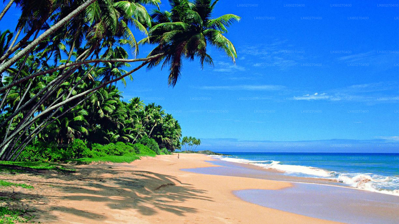 Küstenfahrt von Wadduwa nach Galle