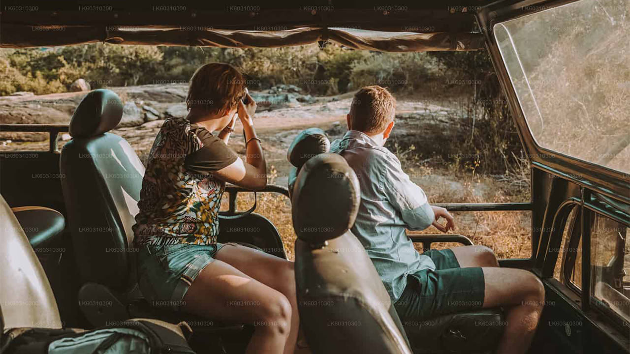 Yala-Nationalpark: Private Safari ab Ahangama