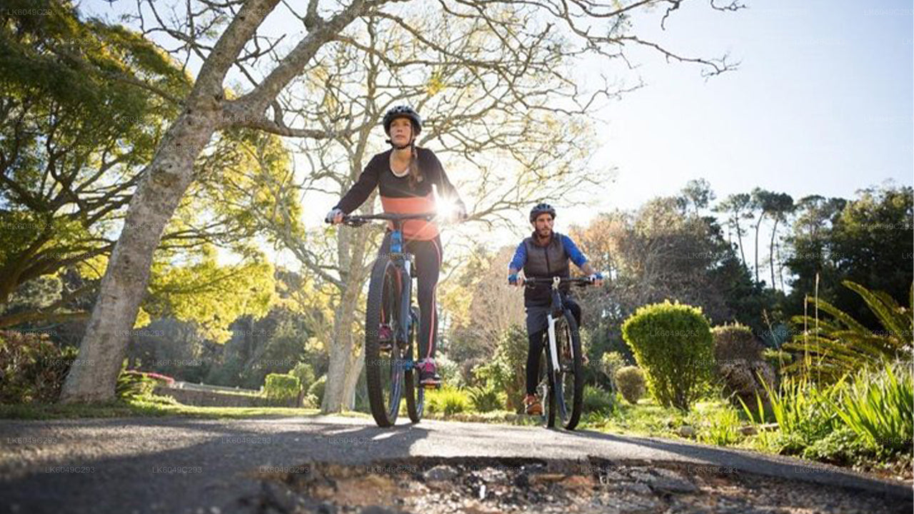 Kithulgala-Abenteuertour ab Bentota (2 Tage)