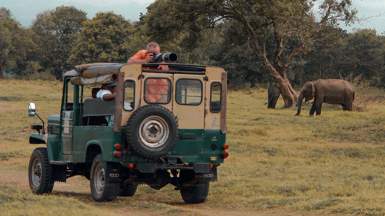 Safari im Udawalawe-Nationalpark ab Mirissa