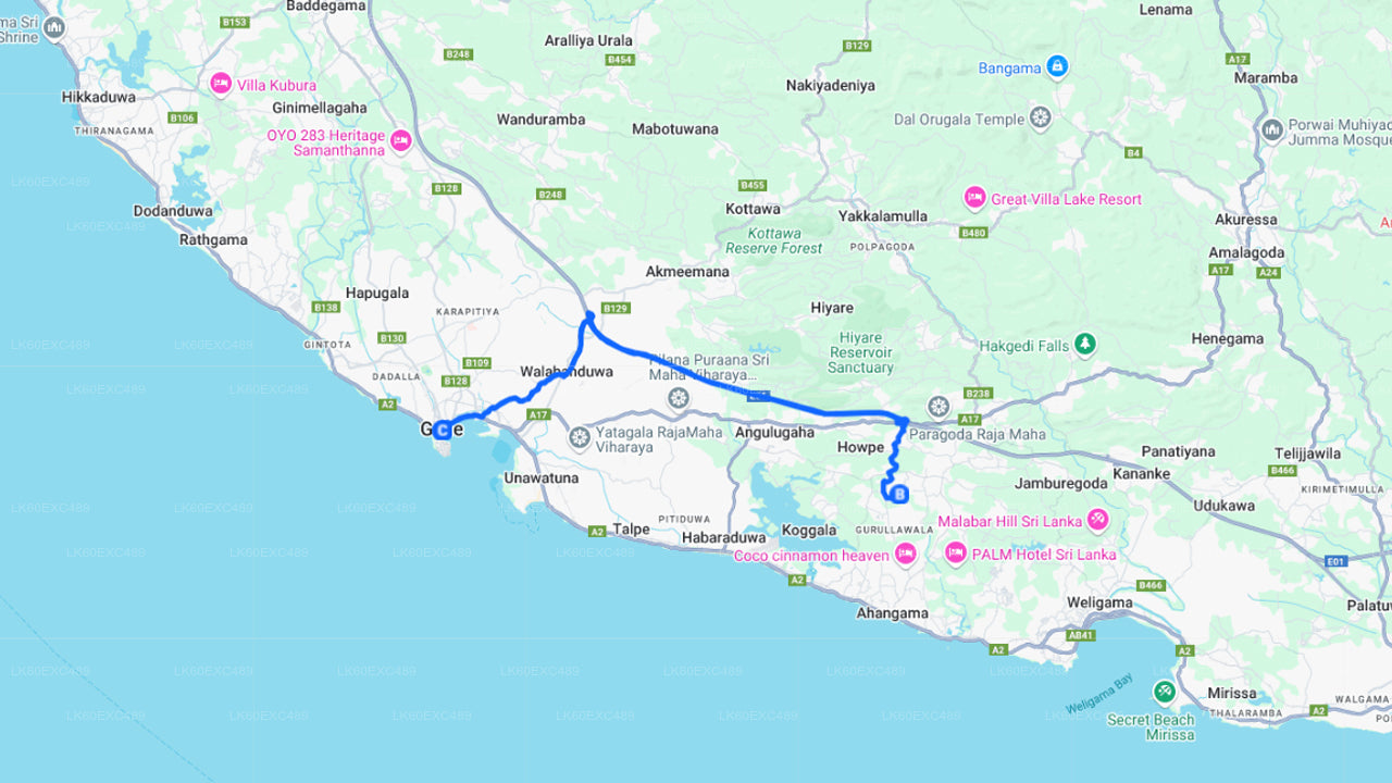 Besuch einer Fabrik für niedrig angebauten Tee und Teeverkostung ab Galle