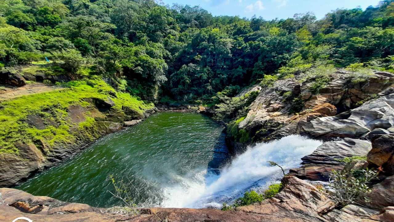 Sinharaja Regenwald-Wasserfall-Tour