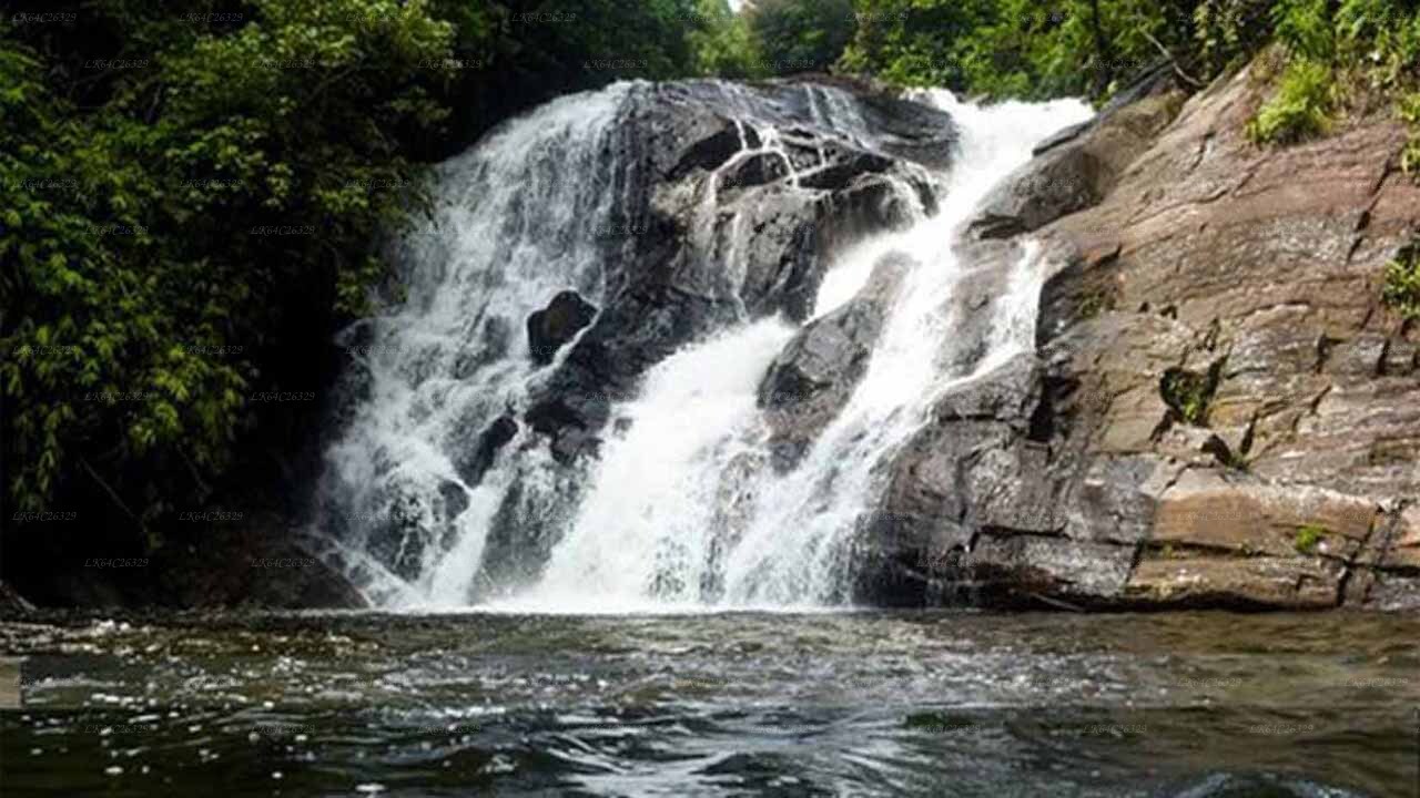 Sinharaja Regenwald-Wasserfall-Tour