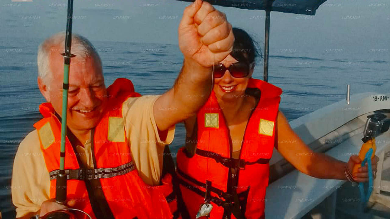 Tauchen in Mount Lavinia